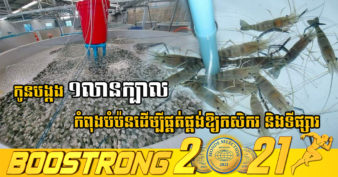 មិនធម្មតា! កសិដ្ឋានវារីវប្បកម្មមួយកន្លែងនៅក្នុងស្រុក កំពុងបំប៉នកូនបង្កងទឹកសាបប្រមាណ ១លានកូន សម្រាប់លក់ឱ្យកសិករ