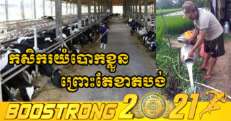 សោកស្ដាយ! ដោយសារការរឹតត្បិត កសិករវៀតណាមចិញ្ចឹមគោយកទឹកដោះជាច្រើន បង្ខំចិត្តចាក់ទឹកដោះគោចោលរាប់ពាន់លីត្រក្នុងមួយថ្ងៃៗ