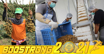 ចិន អនុញ្ញាតឱ្យថៃនាំចូលផ្លែមៀនឡើងវិញហើយ បន្ទាប់ពីដាក់ការហាមឃាត់កាលពី ៣ថ្ងៃមុន