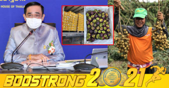 នាយករដ្ឋមន្រ្តីថៃ ដកលុយហោប៉ាវផ្ទាល់ខ្លួន ទិញផ្លែឈើ ១ តោនពីកសិករចែកដល់បុគ្គលិកពេទ្យ និងអ្នកស្ម័គ្រចិត្តថែទាំអ្នកជំងឺកូវីដ-១៩