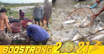 វារីវប្បកម្មនៅកម្ពុជានៅតែបន្តជួបបញ្ហាប្រឈម ខណៈដែលវីរុសកូវីដ-១៩ នៅតែបន្តរាតត្បាត