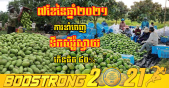 ស្វាយចាល់លក់មិនចេញ ឬមិនបានថ្លៃកុំបោះចោល គួរច្នៃជាទឹកស៊ីរ៉ូស្វាយឱ្យត្រូវតាមស្តង់ដារ ខណៈ ៧ខែនៃឆ្នាំនេះ ការនាំចេញទៅចិន និងហ្វីលីពីនកើនឡើងខ្លាំង