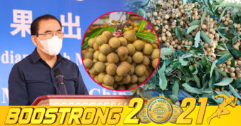 រដ្ឋមន្រ្តីក្រសួងកសិកម្ម បង្ហាញវឌ្ឍនភាពនៃការចរចារបើកផ្លូវក្នុងការនាំផ្លែតាង៉ែនហៅផ្លែមៀនប៉ៃលិន ទៅកាន់ប្រទេសចិន