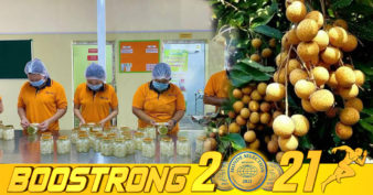 ដំណឹងល្អសម្រាប់កសិករ! សិប្បកម្មកែច្នៃ ផ្លែឈើស្រស់នៅខេត្តបាត់ដំបង ប្រកាសប្រមូលទិញផ្លែមៀនប៉ៃលិនចំនួន ២តោនក្នុងមួយថ្ងៃ