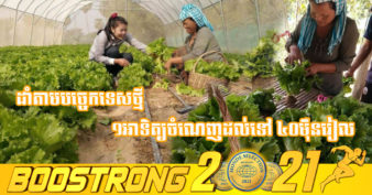 កសិករនៅក្រុងសៀមរាប ដាំតែបន្លែចម្រុះ ក៏អាចរកប្រាក់ចំណូលបាន ៤០០ដុល្លារក្នុងមួយខែ