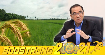 គិតត្រឹមពាក់កណ្តាលខែសីហាឆ្នាំ២០២១ ការដាំដុះស្រូវវស្សានៅកម្ពុជា សម្រេចបានស្ទើរតែ១០០ភាគរយហើយ