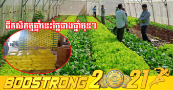 ក្រសួងកសិកម្ម៖ ជីកសិកម្មឡើងថ្លៃ ដោយសារការពិបាកនាំចូល និងកម្ពុជាមិនទាន់អាចផលិតខ្លួនឯងបាន