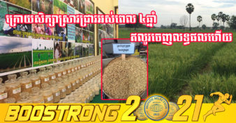 ក្រសួងកសិកម្ម បង្ហាញពីលទ្ធផលនៃការសិក្សានិងស្រាវជ្រាវគម្រោងស្តីពី “ពិពិធកម្មប្រជាករស្រូវសែនក្រអូប” ក្រោយអនុវត្តអស់ពេល ៤ឆ្នាំ