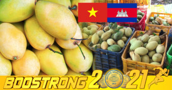 វៀតណាម ជាអ្នកទិញផ្លែស្វាយធំជាងគេនៅកម្ពុជា ខណៈ៧ខែនៃឆ្នាំនេះ វៀតណាមនាំចូលស្វាយកម្ពុជាចំនួន ១៤ម៉ឺនតោន