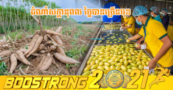 ស្វាយ និងដំឡូងមីជាដំណាំខ្មែរ ក្រៅពីនាំចេញស្រស់ ក៏អាចច្នៃបានចាប់ពី ២មុខនាំចេញទៅទីផ្សារក្រៅប្រទេស