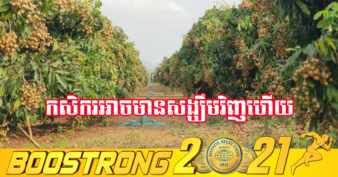 មន្ត្រីជាន់ខ្ពស់កសិកម្ម៖ អ្នកដាំមៀននៅកម្ពុជា អាចមានសង្ឃឹមជាថ្មីនាំចេញទៅថៃឡើងវិញ បន្ទាប់ពីចិនសម្រេចឱ្យក្រុមហ៊ុនថៃចំនួន៥៦ អាចនាំចូលមៀនទៅចិនបាន