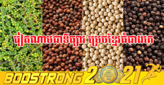 កម្ពុជា នាំចេញម្រេចកើនឡើងជាង ៥០០% ក្នុងរយៈពេល ៨ខែឆ្នាំនេះ ទៅកាន់ ២០ប្រទេស