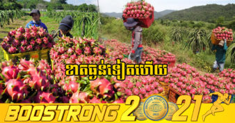 ចិនផ្អាកនាំចូលផ្លែស្រកានាគពីវៀតណាមជាបណ្ដោះអាសន្នភ្លាមៗ ក្រោយរកឃើញមានដានកូវីដ-១៩ លើសំបកវេចខ្ចប់