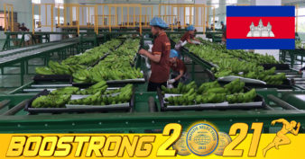 រយៈពេល ៨ខែឆ្នាំ២០២១ កម្ពុជានាំចេញកសិផលបានចំនួនជិត ៦លានតោន ទៅកាន់ទិសដៅ ៦៦ ប្រទេស