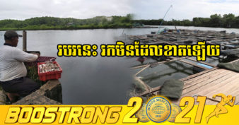 មិនធម្មតា! កសិករម្នាក់នៅខេត្តកោះកុង អាចរកចំណូលបានជាង ១ម៉ឺនដុល្លារ ក្នុងមួយរដូវពីការចិញ្ចឹមត្រីប្រភេទនេះ