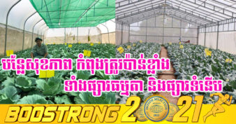 មិនធម្មតា! កសិករខេត្តក្រចេះម្នាក់ គ្រោងបង្កើតផ្ទះសំណាញ់ដាំបន្លែឲ្យបានជាង ២០រោងបន្ថែមទៀត ដើម្បីផ្គត់ផ្គង់តម្រូវការទីផ្សារ