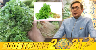 ភ្ញាក់ផ្អើល! នាយករដ្ឋមន្រ្តីថៃ ព្រួយបារម្ភពីការឡើងថ្លៃបន្លែ ជីវ៉ាន់ស៊ុយ ដែលឡើងដល់ទៅ ១២ដុល្លារក្នុងគីឡូក្រាម