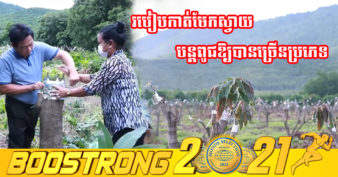 ឯកឧត្តម ម៉ុង ឬទ្ធី បង្ហាញពីរបៀបកាត់មែកស្វាយបន្តពូជ ឱ្យបានច្រើនប្រភេទ ដេីម្បីជាចំណេះដឹងដល់អ្នកមានចំណង់ចំណូលចិត្តលេីវិស័យសិកម្ម (មានវីដេអូ)