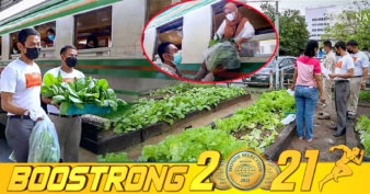 គំនិតល្អមែន! ស្ថានីយ៍រថភ្លើងមួយនៅប្រទេសថៃ ប្រើដីទំនេរដាំបន្លែគ្មានជាតិគីមី ចែកជូនដល់មន្ទីរពេទ្យ និងប្រជាពលរដ្ឋរងផលប៉ះពាល់ដោយវិបត្តិកូវីដ-១៩