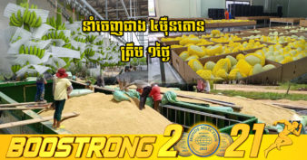 ត្រេកអរណាស់! ត្រឹមពេលតែ ១ថ្ងៃ ដើមខែវិឆ្ឆិកា កម្ពុជានាំចេញកសិផលបានជាង ៤ម៉ឺនតោនទៅកាន់ទិសដៅ ១០ ប្រទេស