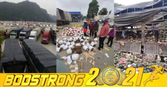 ចិន រឹតបន្តឹងប៉ុស្តិ៍ត្រួតពិនិត្យ ធ្វើឱ្យបន្លែ ផ្លែឈើវៀតណាមក្នុងកុងតឺន័រជាង ៦ពាន់គ្រឿងជាប់គាំង និងចាប់ផ្ដើមស្អុយ រលួយ អ្នកដឹកសម្រេចដាក់លក់ក្នុងតម្លៃថោកៗ