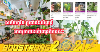 ក្នុងអំឡុងពេលបិទខ្ទប់ រុក្ខជាតិសម្រាប់ដាំលម្អក្នុងផ្ទះ ត្រូវប៉ាន់ខ្លាំងនៅសិង្ហបុរី ប្រភេទខ្លះមានតម្លៃរាប់ម៉ឺនដុល្លារ