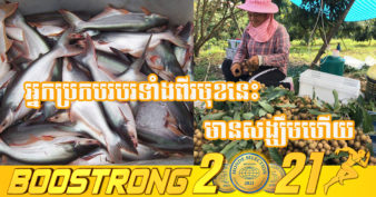 មៀនប៉ៃលិន និងត្រីប្រា របស់កម្ពុជា នឹងមានទីផ្សារល្អប្រសើរ ខណៈដែលប្រទេសចិនបានសម្រេចផ្តល់ការត្រួតពិនិត្យលក្ខខណ្ឌតម្រូវភូតគាមអនាម័យ តាមប្រព័ន្ធអនឡាញ