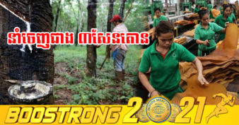 រយៈពេល១១ខែ ក្នុងឆ្នាំ ២០២១ ការនាំចេញជ័រកៅស៊ូមានចំនួនជាង ៣សែនតោនកើនឡើង ៩ភាគរយ