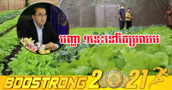 កម្ពុជា នៅជួបបញ្ហាប្រឈមកង្វះបន្លែសុវត្ថិភាពសម្រាប់ផ្គត់ផ្គង់ទីផ្សារក្នុងស្រុក