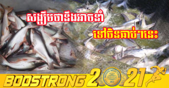 ដំណឹងល្អ! ចិននិងកម្ពុជា ប្រជុំវាយតម្លៃលើភូតគាមអនាម័យត្រីប្រាកម្ពុជាដែលនឹងនាំចេញទៅកាន់ប្រទេសចិន