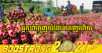 ទុក្ខផ្ទួនៗ! ក្រៅពីបញ្ហាជាប់គាំងកុងតឺន័រដឹកទំនិញរាប់ពាន់គ្រឿង ឥឡូវចិនបញ្ឈប់ការនាំចូលផ្លែស្រកានាគពីវៀតណាម ដោយសារបញ្ហា ១នេះ