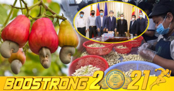 ដំណឹងល្អ! ក្រុមហ៊ុនជប៉ុនគ្រោងបង្កើតរោងចក្រកែច្នៃ ស្វាយចន្ទីសម្រាប់នាំចេញទៅកាន់ទីផ្សារជប៉ុន និងទីផ្សារអន្តរជាតិ