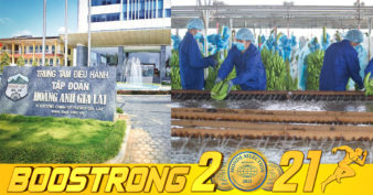 ក្រុមហ៊ុនកសិកម្មយក្សវៀតណាម HAGL ប្រកាសលក់ភាគហ៊ុន ២៥លានហ៊ុនបន្ថែមទៀត ដើម្បីសងបំណុល