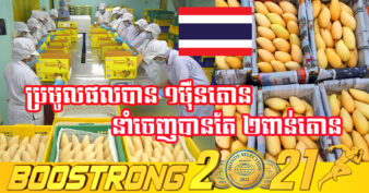 កសិករដាំស្វាយនៅប្រទេសថៃ កំពុងប្រឈមនឹងបញ្ហាចាល់ផ្លែស្វាយដែលប្រមូលផលបាន ដោយសារបញ្ហា ១នេះ