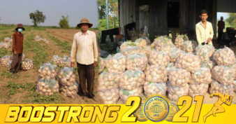 កសិករដាំប៉ិកួៈនៅខេត្តកំពង់ចាម ញញឹមបិទមាត់មិនជិត ខណៈប៉ិកួៈឆ្នាំនេះ មានទីផ្សារ និងមានតម្លៃខ្ពស់