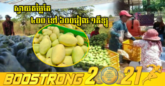 កសិករដាំស្វាយ អាចនឹងត្រូវបាត់ចំណូលប្រចាំឆ្នាំ ខណៈស្វាយកែវល្មៀត មានតម្លៃតែ ៤០០ ទៅ៦០០រៀលក្នុងមួយគីឡូក្រាម