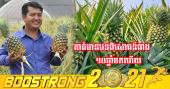 ម្ចាស់ចម្ការម្នាស់ទឹកឃ្មុំមួយកន្លែងក្នុងខេត្តស្ទឹងត្រែង ចែករំលែកបទពិសោធន៍ក្នុងការដាំដុះដែលទទួលបានទិន្នផលច្រើនហើយមានរសជាតិផ្អែមឆ្ងាញ់