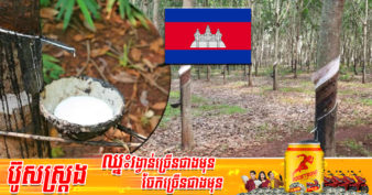 ត្រឹមតែ ១ត្រីមាសដំបូងឆ្នាំ២០២២ ចំណូលនៃការនាំចេញជ័រកៅស៊ូ និងឈើកៅស៊ូ បានដល់ជាង ៩៩លានដុល្លារអាមេរិក