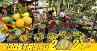 ប្រពៃណាស់! ពលរដ្ឋក្នុងតំបន់អង្គរ ទទួលបានចំណូលបន្ថែមពីអនុផលព្រៃឈើក្នុងតំបន់អង្គរ