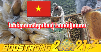 វៀតណាម កាក់កបខ្លាំងលើការនាំចេញទឹកឃ្មុំទៅតៃវ៉ាន់ កើនឡើងជិត ២លានដុល្លារ