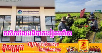ល្អមែនទែន! មន្ទីរកសិកម្មខេត្តបាត់ដំបងបង្កើតកន្លែងប្រមូលផ្តុំបន្លែចំនួន ១០កន្លែង ដើម្បីទទួលទិញបន្លែពីប្រជាកសិករ ផ្គត់ផ្គង់ក្នុងខេត្តនិងនាំទៅរាជធានីភ្នំពេញ