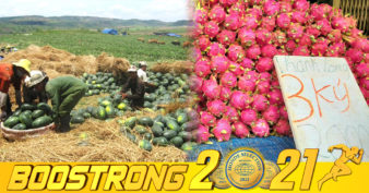 ផ្លែស្រកានាគ និងផលិតផលកសិកម្មមួយចំនួនរបស់វៀតណាម សុខចិត្តដាក់លក់ថោកៗ ដោយសារនាំចេញទៅចិនមិនកើត