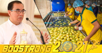 រដ្ឋមន្រ្តីកសិកម្ម ប្រាប់ពីមូលហេតុដែលធ្វើឱ្យការនាំចេញផ្លែស្វាយ ថយចុះក្នុងរយៈពេល ៣ខែដំបូងឆ្នាំនេះ