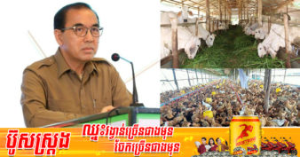 រដ្ឋមន្ត្រីក្រសួងកសិកម្ម៖ ការចិញ្ចឹមសត្វ ជាលក្ខណ:គ្រួសារបាននិងកំពុងផ្លាស់ប្តូរទៅជាការចិញ្ចឹមដើម្បីពាណិជ្ជកម្មវិញ