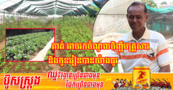 កសិករខេត្តសៀមរាប ច្នៃដី ៥០០០ម៉ែត្រការ៉េ ដាំន្លែសាមញ្ញៗតែមានតម្រូវខ្លាំងនៅផ្សារទំនើប និងផ្សារបន្លែសុវត្តិភាព