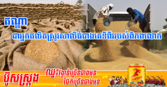 ប្រទេសឥណ្ឌា ប្រកាសហាមឃាត់ការនាំចេញស្រូវសាលីជាបន្ទាន់ ចំពេលតម្លៃកើនឡើងនៅជុំវិញពិភពលោក