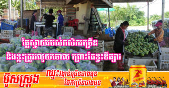 ឆ្នាំនេះកសិករ និងឈ្មួញនៅខេត្តបាត់ដំបងថា ស្វាយកែវរមៀតធ្លាក់ថ្លៃពិបាករកទីផ្សារ