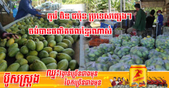មន្ទីរពាណិជ្ជកម្មខេត្ត លើកទឹកចិត្តឱ្យកសិករកែប្រែទម្លាប់ចាស់ ដើម្បីនាំស្វាយចេញទៅលក់នៅក្រៅប្រទេសបានតម្លៃខ្ពស់