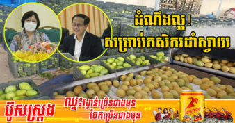 ដំណឹងល្អ! ក្រុមហ៊ុនកូរ៉េខាងត្បូង មានបំណងនាំចូលស្វាយពីកម្ពុជា ១ម៉ឺនតោនក្នុងមួយឆ្នាំដើម្បីបំពេញតម្រូវការទីផ្សារកូរ៉េ