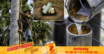 សមាគមលើកកម្ពស់ស្ករត្នោតកំពង់ស្ពឺមានតម្រូវការនាំចេញទៅកាន់ទីផ្សារក្រៅប្រទេសប្រមាណ១៥០តោន